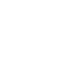 safari multi services